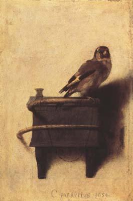 FABRITIUS, Carel The Goldfinch (mk08) Norge oil painting art